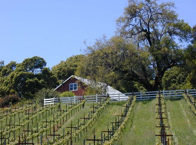Le Vin Winery Photo
