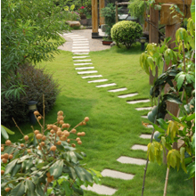 Landscaping in Los Angeles, CA