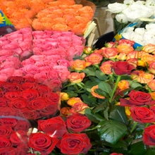 Flower Store in Islip, New York