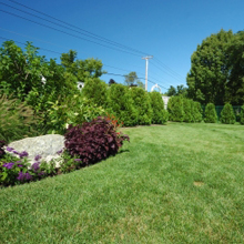 Landscaping Design in Round Hill, Virginia