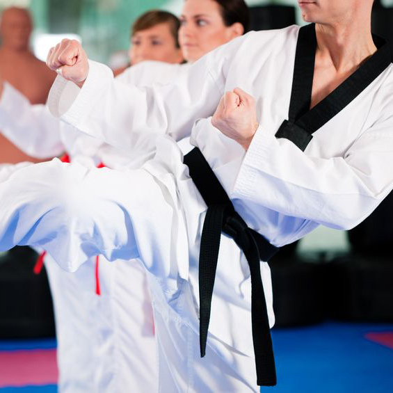 Taekwondo School in Petaluma, California
